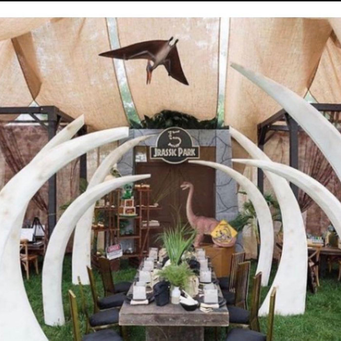 Dinosaur Bones Arch 6ft 7ft